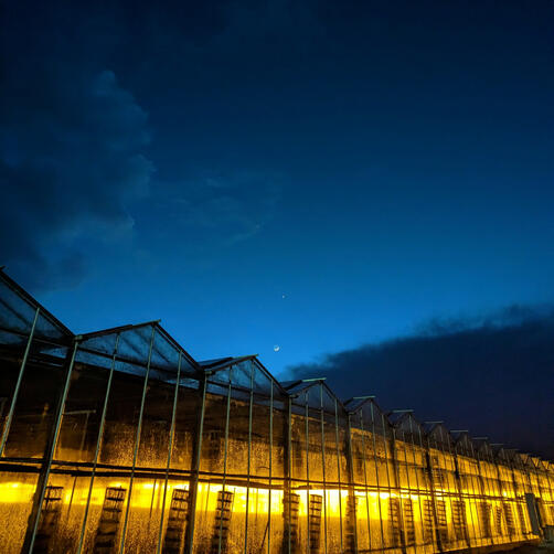 AGRICULTURAL ELECTRIC